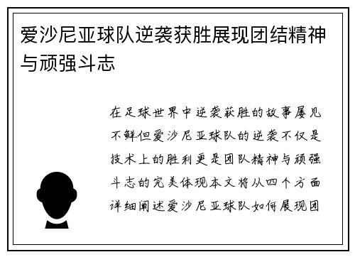 爱沙尼亚球队逆袭获胜展现团结精神与顽强斗志