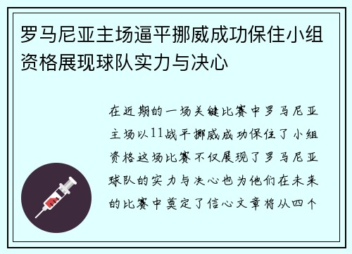 罗马尼亚主场逼平挪威成功保住小组资格展现球队实力与决心