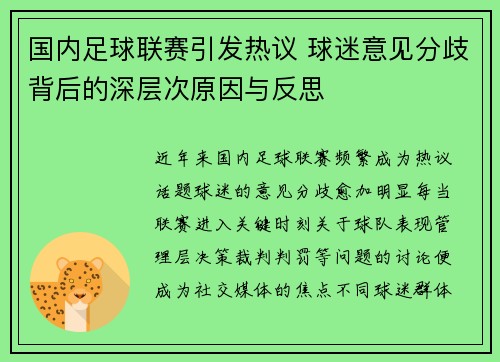 国内足球联赛引发热议 球迷意见分歧背后的深层次原因与反思