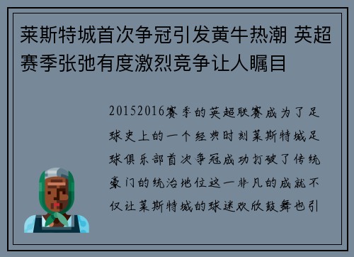 莱斯特城首次争冠引发黄牛热潮 英超赛季张弛有度激烈竞争让人瞩目