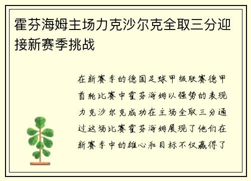 霍芬海姆主场力克沙尔克全取三分迎接新赛季挑战